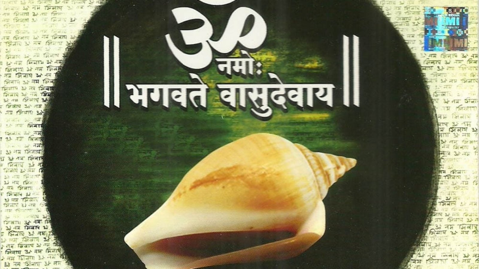 aum namo bhagavate vasudevay